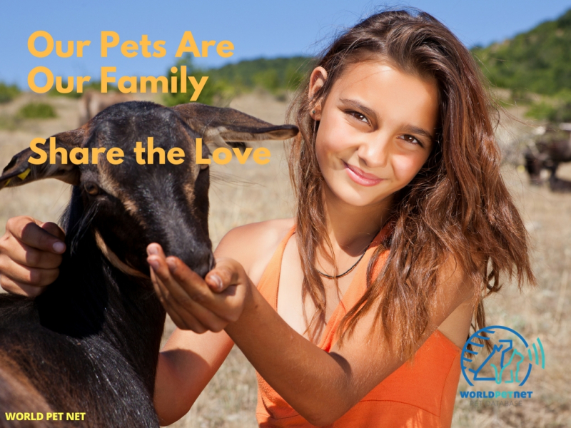 Μητρώο κτηνοτρόφων και ζώων αναπαραγωγής στο World Pet
